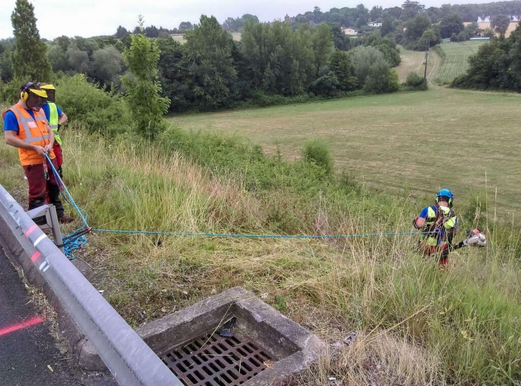 Débroussaillage encordé - Serpe.jpg