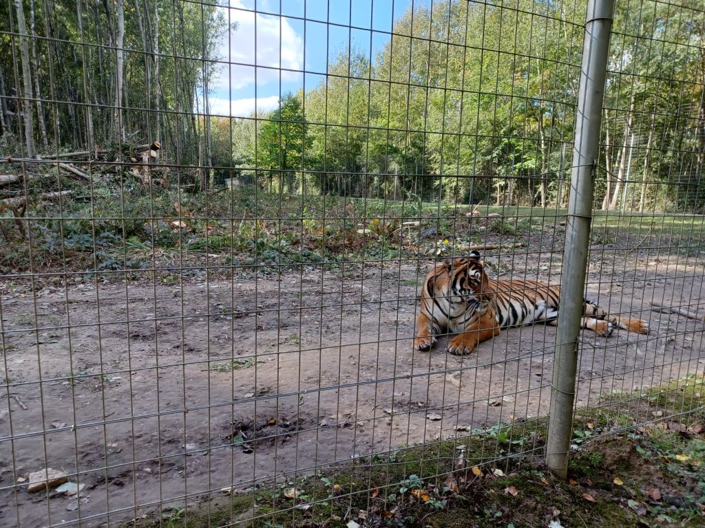 sécurisation des clôtures des parcs zoologiques Nemours